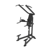 "Evolve Prime Series Dip &amp; Pull Up Station" (PR-219)