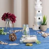 Relaxdays 24 mažų stiklinių buteliukų rinkinys 150 ml