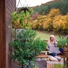 Relaxdays 3 pakabinamų krepšelių su kokoso pluošto įdėklu rinkinys