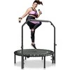 Vevor 40" sulankstomas mini fitneso batutas su rankena
