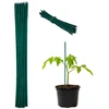 Kodustaar 50 augalų atraminių lazdelių rinkinys 30 cm