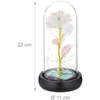 Relaxdays Amžina rožė stikliniame gaubte