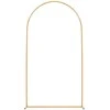 Vevor Auksinis arkos fonas 2,2 x 1,2 m