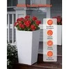 Aukšti vazonai rinkinys 2 vnt, 550 mm, balti