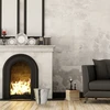 Relaxdays Cinkuotas pelenų kibiras su dangčiu
