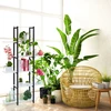 Relaxdays Didelis augalų stovas su 6 lygiais