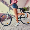 Relaxdays Dviračio krepšys galiniam bagažinei
