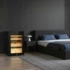 Drėkintuvas Vevor Elektrinis 60L cigarų humidoras namams