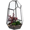 Relaxdays Geometrinis stiklinis terariumas 25 cm