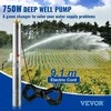 Vevor giluminis panardinamas vandens siurblys 750W 230V