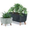 Prosperplast Gracia betoninė vazono dėžė 58x24 cm