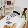 Relaxdays Grynųjų pinigų dėžutė su skaičių kombinacija