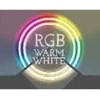 Christmas Decoration Kalėdinės LED girliandos 96 RGB su pultu