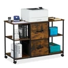 Relaxdays Kartotekų spintelė su 2 stalčiais ir lentynomis