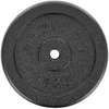 Ketaus svarstyklės 15 kg enero fit