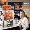 Vevor Komerciška apelsinų sulčiaspaudė 120W