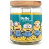 Kvapioji žvakė Minions 510g