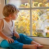 Kodustaar Langinis paukščių lesykla su termometru
