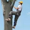 Vevor Medžių laipiojimo spygliai su diržais