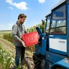 Vevor Metalinis degalų bakas, 20 l su snapu