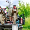 Relaxdays Motociklo užvažiavimo rampa