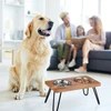 Relaxdays Paaukštintas XL šuns dubenėlis iš akacijos medienos