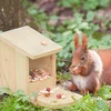 Kodustaar Pastatomas voverių šėryklos namelis