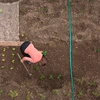 Kodustaar Plokščia laistymo žarna 5 m
