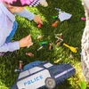 Kodustaar Policijos pinjata