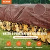 Vevor Polietileno brezentas 366x1220 cm rudas