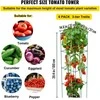 Vevor Pomidorų narveliai iš plieno su PVC danga