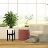 Relaxdays Reguliuojamas bambukinis augalų stovas