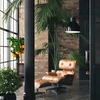 Relaxdays Reguliuojamas bambukinis augalų stovas