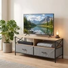 Relaxdays TV spintelė su laikymo vieta