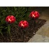 Saska Garden Saulės lempa boružė 1 LED