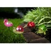 Saska Garden Saulės lempa boružė 1 LED