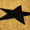 Kodustaar Siauras durų kilimėlis STAR
