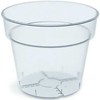 Prosperplast skaidri augalų vazelė 12 cm