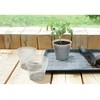 Prosperplast skaidri augalų vazelė 12 cm