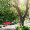 Relaxdays Stačiakampės lizdo sūpynės raudonos spalvos