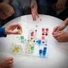 Kodustaar Stalo žaidimas Ludo Shots
