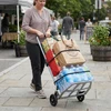 Relaxdays Sulankstomas krovininis vežimėlis 120 kg