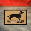 Kodustaar sveiki atvykę takso (wiener dog) durų kilimėlis