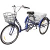 Enero Triratė 24 colių Shimano su žema rėmo