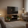 Relaxdays TV žema spintelė su 4 skyriais