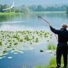 Vevor Tvenkinių augalų pjovimo įrankis