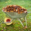 Relaxdays Tvirta guminė karučio padanga 4.00-6