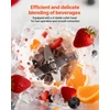 VEVOR Profesionalus 2L blenderis su apsauga