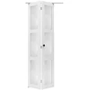 VEVOR Sulankstomos spintos durys 2 dalių, 914 mm x 2032 mm