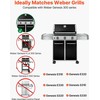 Vevor Weber Genesis 300 serijos kepsninės dalys